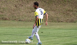Andrea Saraniti