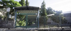 L'istituto comprensivo Mariangela Virgili di Ronciglione