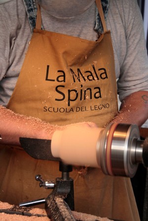 Scuola del legno La mala spina