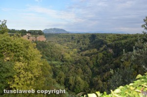 Castel Sant'Elia - Valle Suppentonia