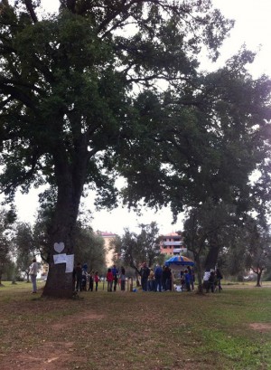 La festa al Parco delle Querce a Santa Barbara