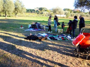 Viterbo - Parco delle querce