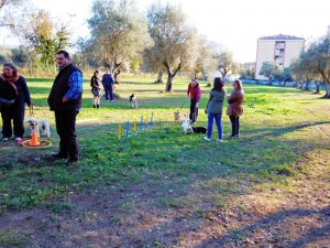 Viterbo - Parco delle querce