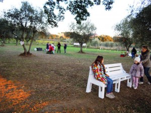 Viterbo - Parco delle querce