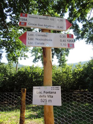 Riserva del lago di Vico
