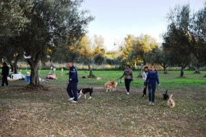 Viterbo - Parco delle querce
