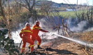 Tarquinia - I volontari della Prociv in azione