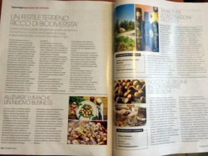 Lo speciale sulla Tuscia nella rivista Ville e Casali