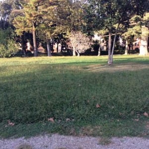 Viterbo - L'incuria a Pratogiardino