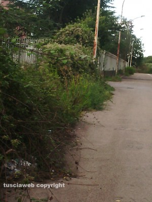 Viterbo - Il degrado nei dintorni del quartiere Villanova