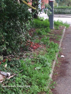 Viterbo - Il degrado nei dintorni del quartiere Villanova