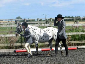 Sfila il cavallo di Pippi Calzelunghe 