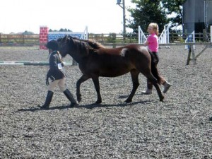 Sfila il cavallo di Pippi Calzelunghe 