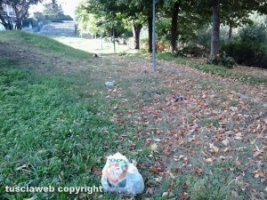 Viterbo - L'incuria del parco in via Cimini