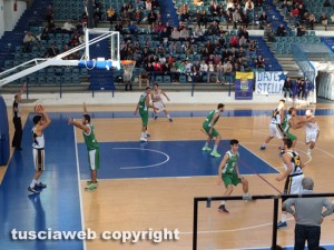 Basket - Stella Azzurra la Palamalè contro l'Olimpia Cagliari