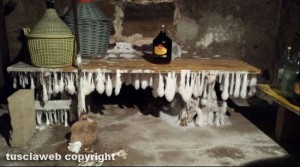 Cellere - Muffa strana e soffice in una cantina