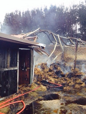 Il fienile distrutto dalle fiamme