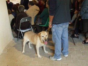 Il microchip day a Vallerano