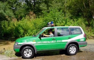 La guardia forestale in azione