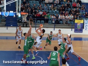 Basket - Stella Azzurra la Palamalè contro l'Olimpia Cagliari