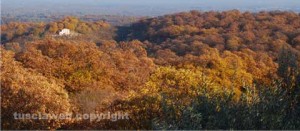 Vallerano - I castagneti in autunno