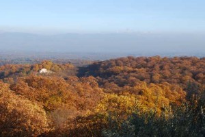 Vallerano - I castagneti in autunno