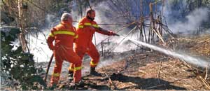 Tarquinia - I volontari della Prociv in azione