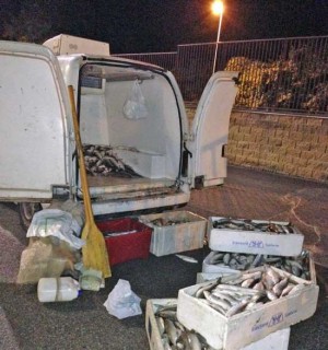 Il pesce sequestrato dai carabinieri a Ronciglione
