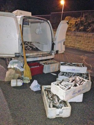 Il pesce sequestrato dai carabinieri a Ronciglione