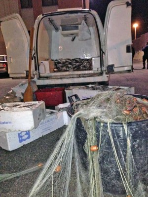 Il pesce sequestrato dai carabinieri a Ronciglione