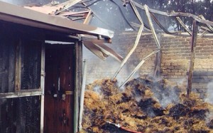 Il fienile distrutto dalle fiamme