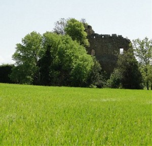 Castel sant'Elia - Il sito Agro falisco