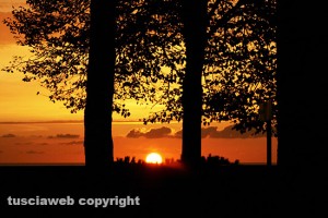 Tarquinia - Tramonto tra gli alberi