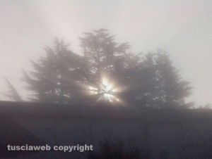 Celleno - La luce dell'alba tra gli alberi