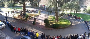 Viterbo - La giornata dell'albero al Paolo Savi