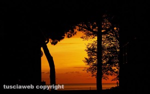 Tarquinia - Tramonto tra gli alberi