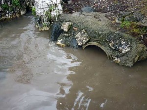 Sversamento liquami nel lago di Bolsena