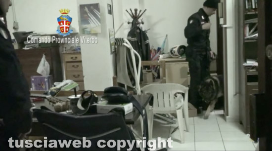 Carabinieri - Operazione Mamuthones - Una unità cinofila in azione