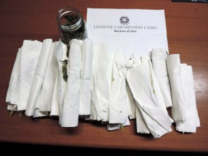 La marijuana sequestrata dai carabinieri di Orte