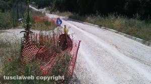 Viterbo - Il degrado in strada Ponte Sodo