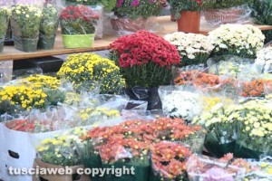 Vendita dei fiori per il weekend di Ognissanti