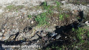 Viterbo - Il parcheggio delle Fortezze sporco e abbandonato