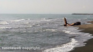 Il mare e sullo sfondo uno "strano" ciocco di legno