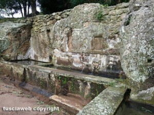 Pitigliano - Fontana dell'olmo