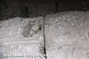 Viterbo - Museo civico - Sarcofago etrusco ricoperto di escrementi di piccione