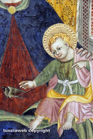 Viterbo - Museo civico -La Madonna del cardellino di Francesco D'Antonio detto il Balletta