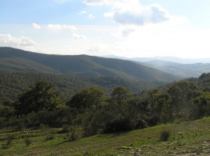 Barbarano Romano - Parco naturale regionale Marturanum