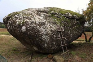 Gallese - Uno dei bolidi di peperino lungo il percorso