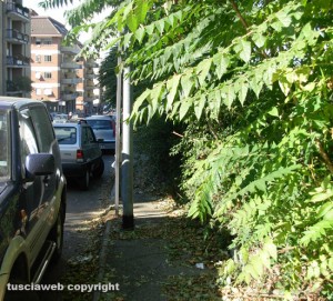 Viterbo - Marciapiedi impraticabili a via Belluno
