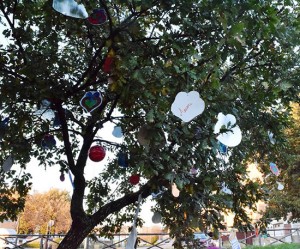 Viterbo - Il Natale al parco delle Querce a Santa Barbara